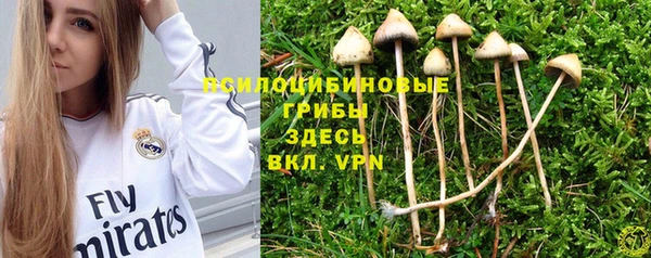альфа пвп Карталы