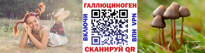 Галлюциногенные грибы мицелий  Купить  Арск 