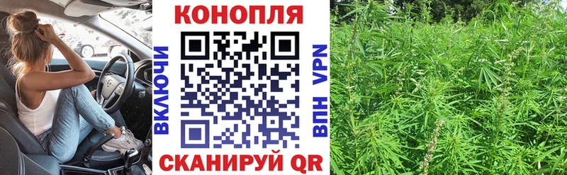 Купить где  Арск  Каннабис SATIVA & INDICA 